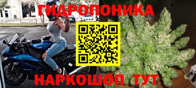 гидропоника Гусев