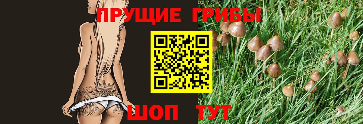 Нурлат  Галлюциногенные грибы прущие грибы  Вход с VPN 