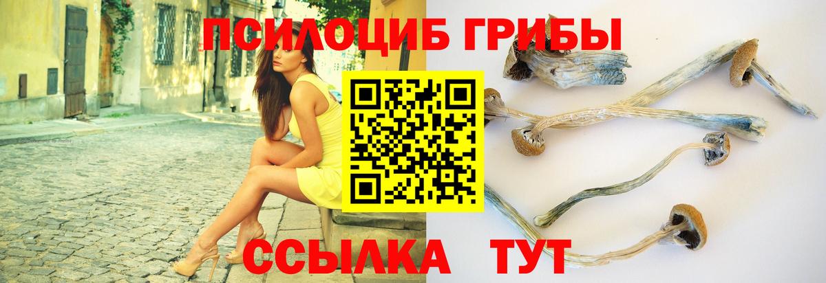 Псилоцибиновые грибы MAGIC MUSHROOMS Нурлат