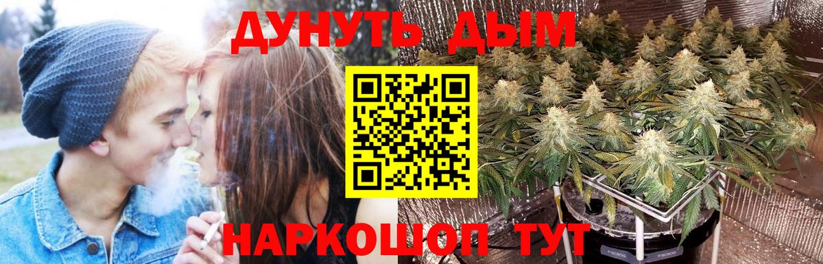 Нурлат  МАРИХУАНА планчик  Бошки Шишки Ganja  Вход с VPN 
